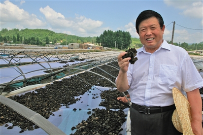 0934472011944.jpg 0934472011944.jpg